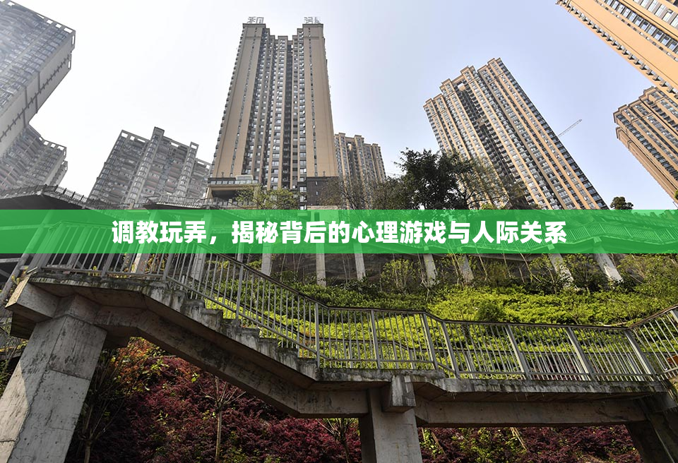 调教玩弄，揭秘背后的心理游戏与人际关系