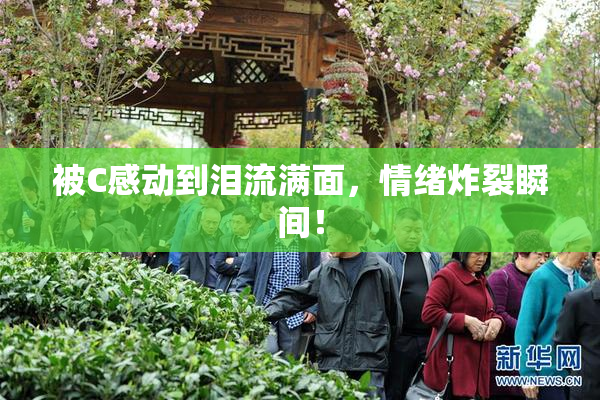 被C感动到泪流满面，情绪炸裂瞬间！