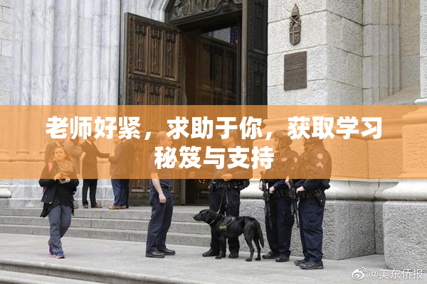 老师好紧，求助于你，获取学习秘笈与支持