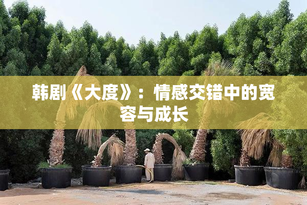 韩剧《大度》：情感交错中的宽容与成长