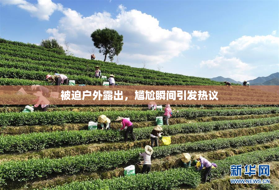 被迫户外露出，尴尬瞬间引发热议