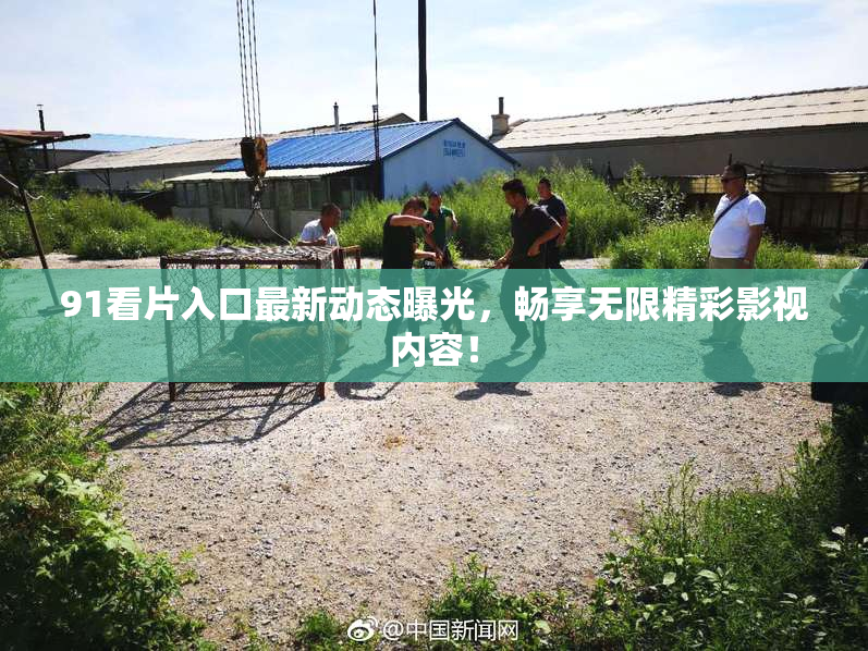 91看片入口最新动态曝光，畅享无限精彩影视内容！