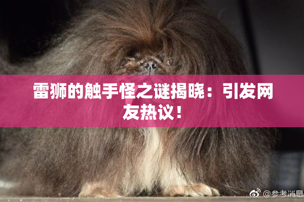 雷狮的触手怪之谜揭晓：引发网友热议！