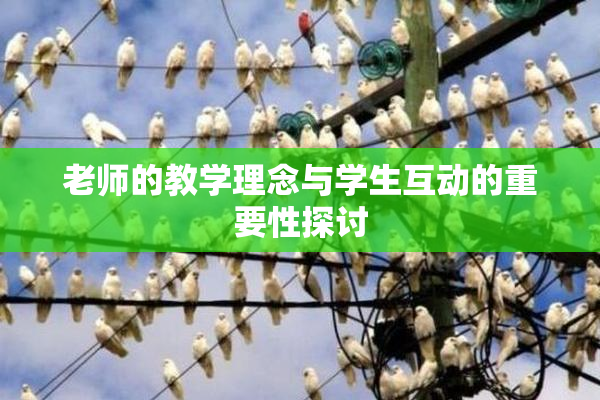 老师的教学理念与学生互动的重要性探讨