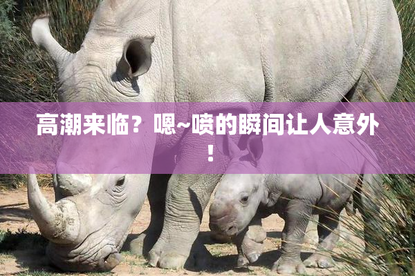 高潮来临？嗯~喷的瞬间让人意外！