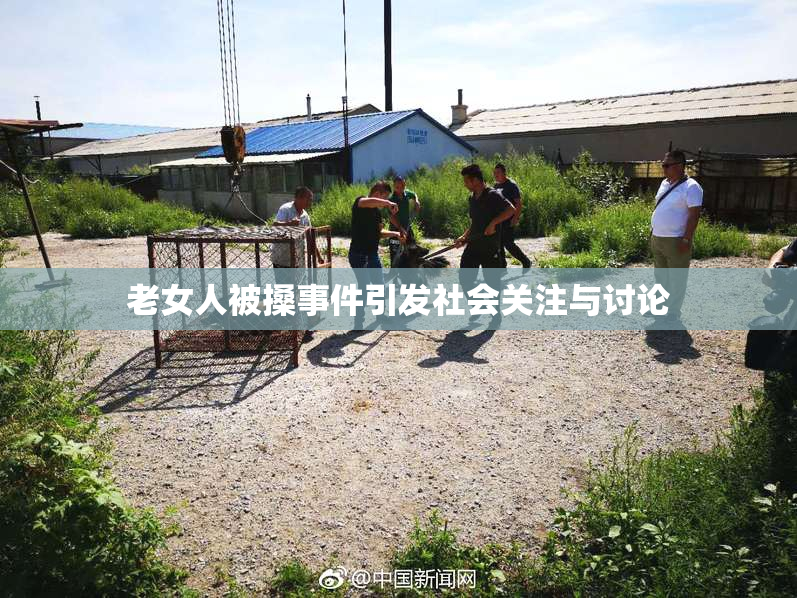 老女人被搡事件引发社会关注与讨论
