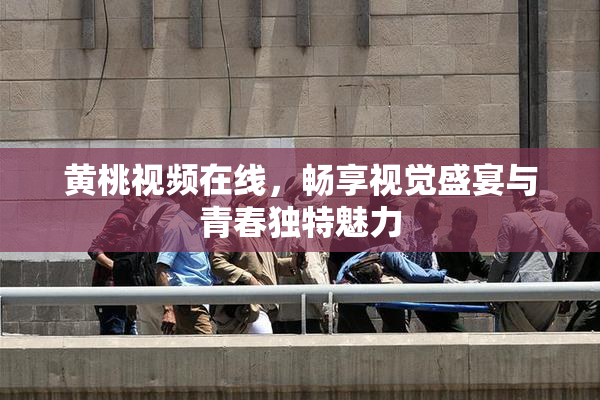 黄桃视频在线，畅享视觉盛宴与青春独特魅力