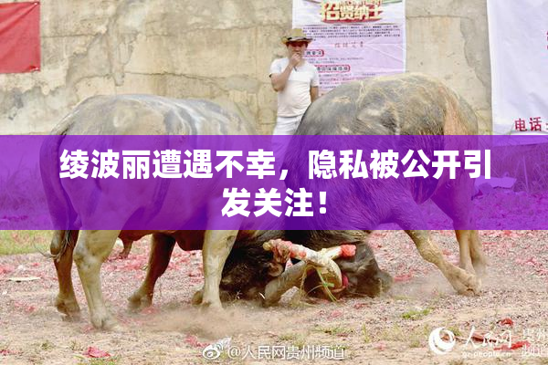 绫波丽遭遇不幸，隐私被公开引发关注！
