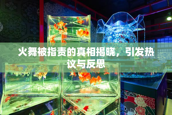 火舞被指责的真相揭晓，引发热议与反思