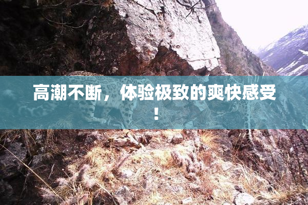 高潮不断，体验极致的爽快感受！