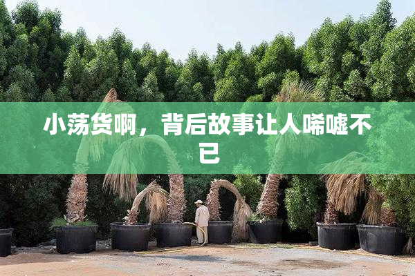 小荡货啊，背后故事让人唏嘘不已