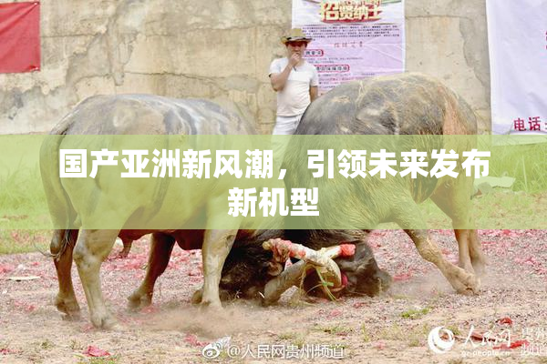 国产亚洲新风潮，引领未来发布新机型
