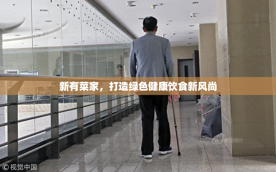 新有菜家，打造绿色健康饮食新风尚