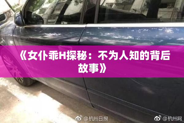 《女仆乖H探秘：不为人知的背后故事》