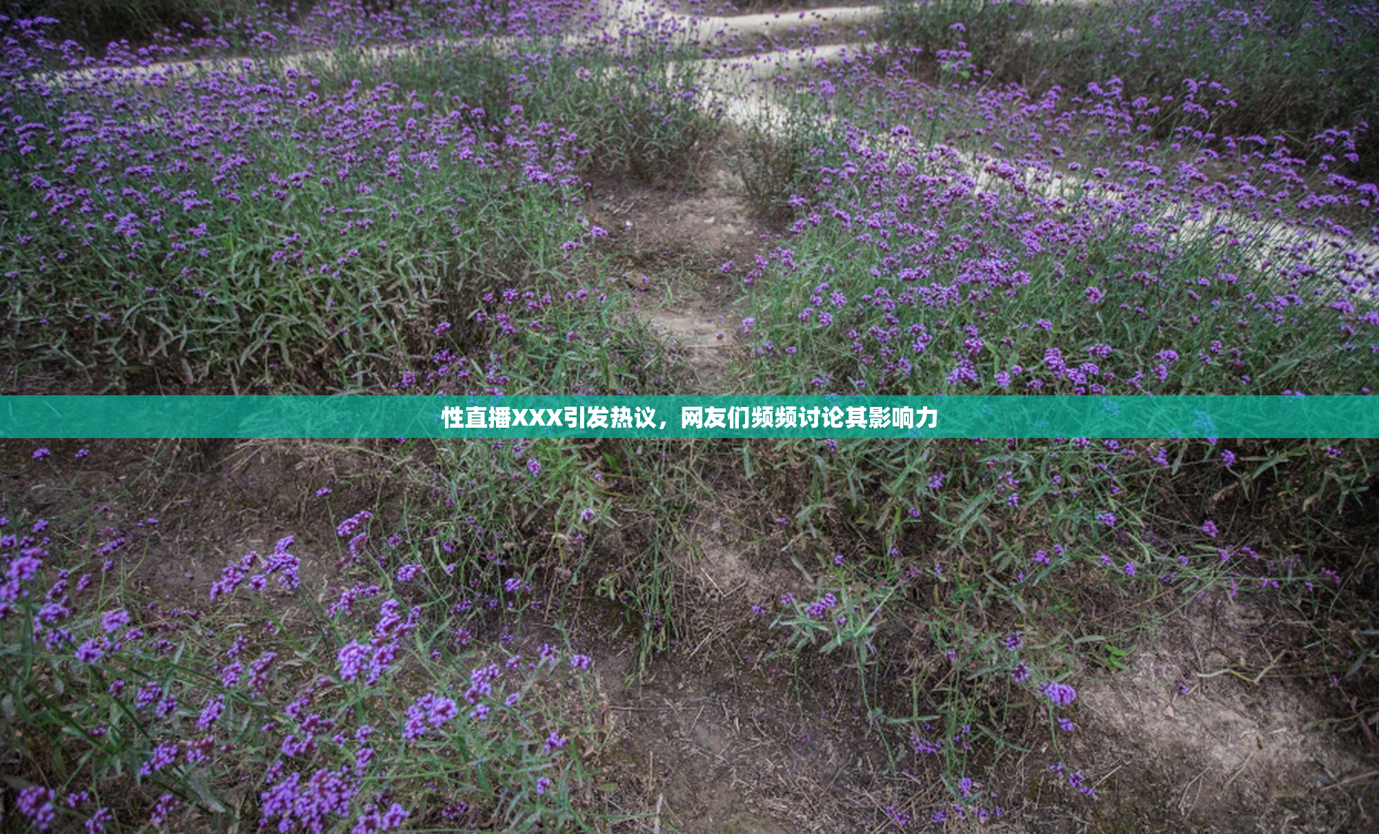 性直播XXX引发热议，网友们频频讨论其影响力