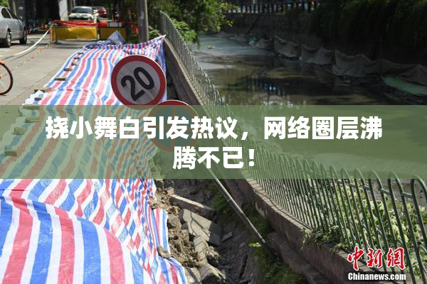 挠小舞白引发热议，网络圈层沸腾不已！