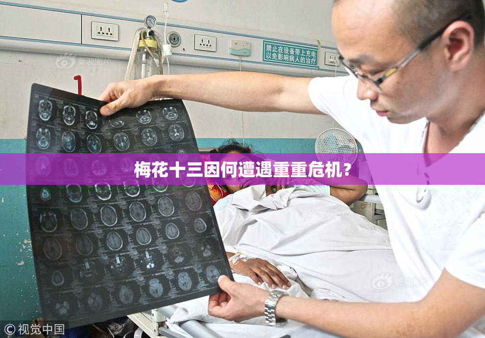 梅花十三因何遭遇重重危机？