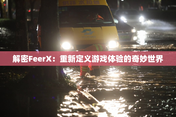 解密FeerX：重新定义游戏体验的奇妙世界