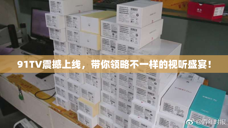 91TV震撼上线，带你领略不一样的视听盛宴！