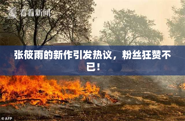 张筱雨的新作引发热议，粉丝狂赞不已！