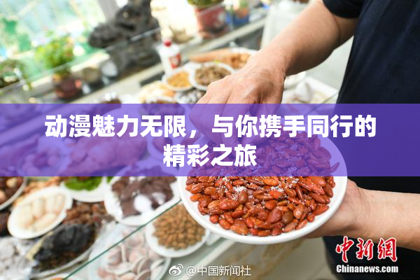 动漫魅力无限，与你携手同行的精彩之旅