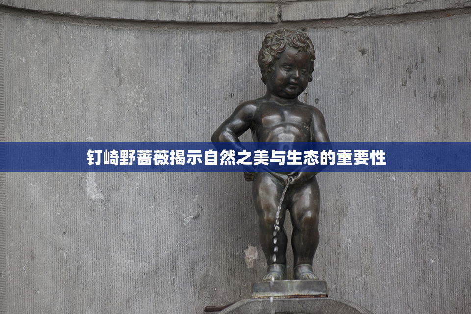 钉崎野蔷薇揭示自然之美与生态的重要性