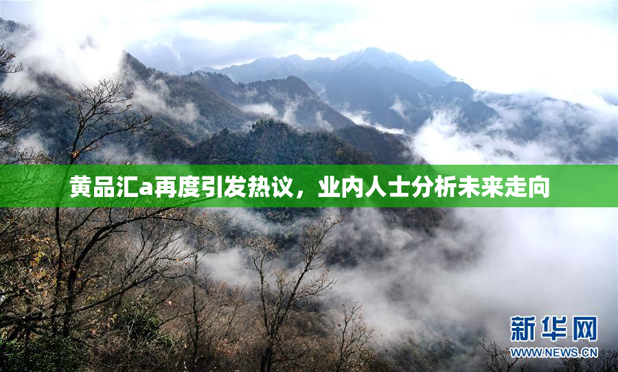 黄品汇a再度引发热议，业内人士分析未来走向