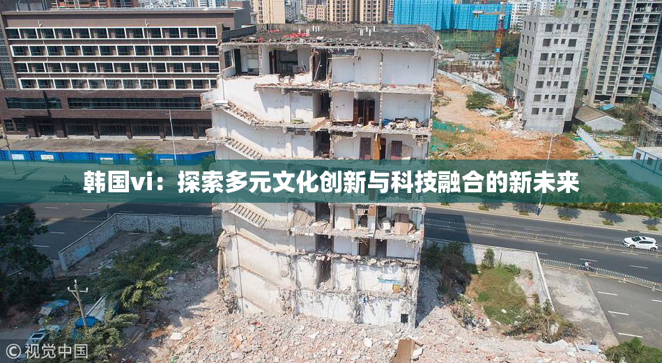 韩国vi：探索多元文化创新与科技融合的新未来