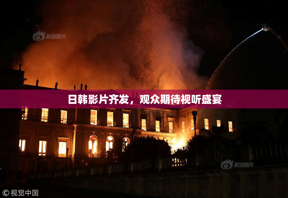 日韩影片齐发，观众期待视听盛宴