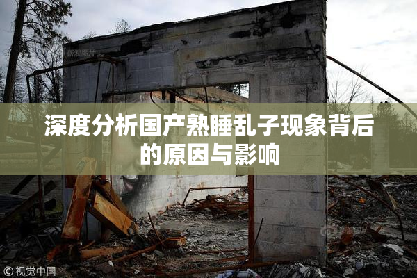 深度分析国产熟睡乱子现象背后的原因与影响