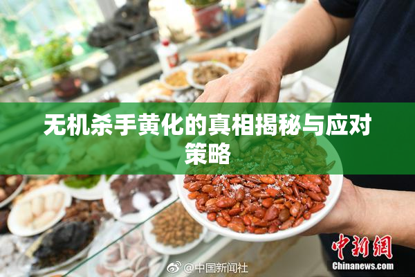 无机杀手黄化的真相揭秘与应对策略
