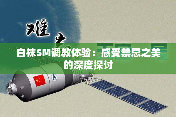 白袜SM调教体验：感受禁忌之美的深度探讨
