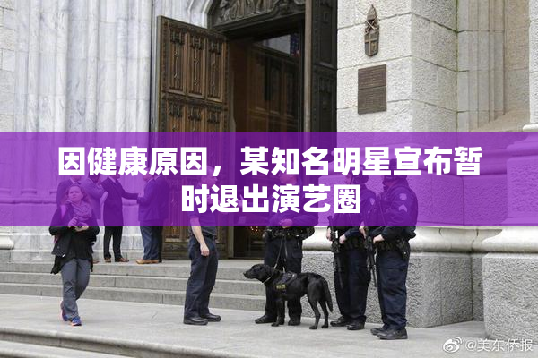 因健康原因，某知名明星宣布暂时退出演艺圈