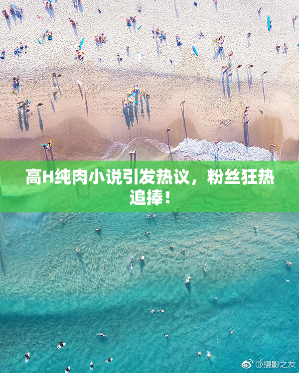 高H纯肉小说引发热议，粉丝狂热追捧！