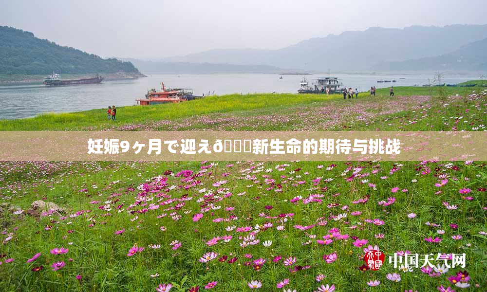 妊娠9ヶ月で迎え🌃新生命的期待与挑战