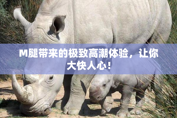 M腿带来的极致高潮体验，让你大快人心！
