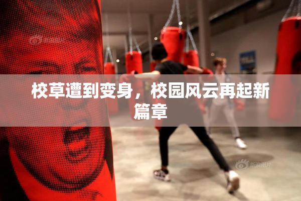 校草遭到变身，校园风云再起新篇章
