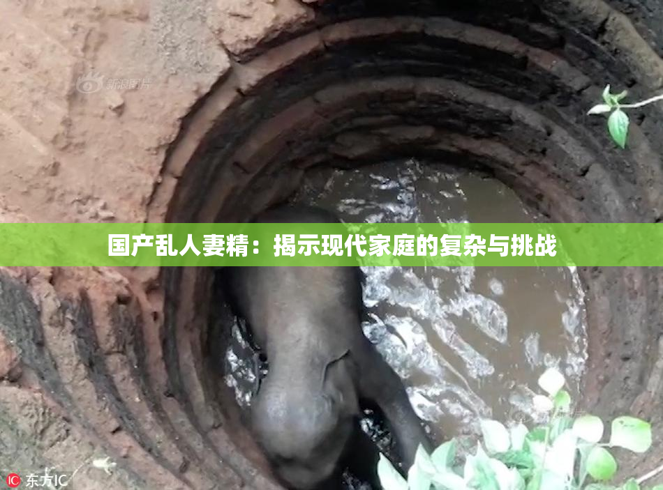 国产乱人妻精：揭示现代家庭的复杂与挑战