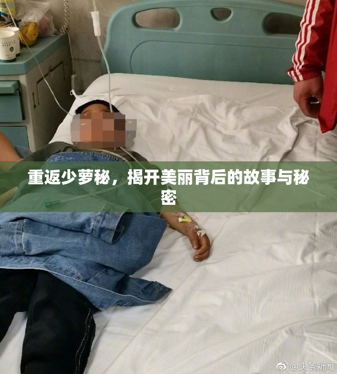 重返少萝秘，揭开美丽背后的故事与秘密