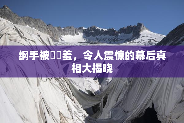 纲手被❌‌羞，令人震惊的幕后真相大揭晓