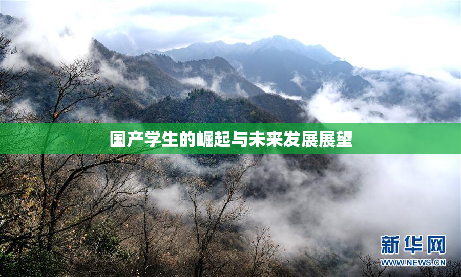 国产学生的崛起与未来发展展望