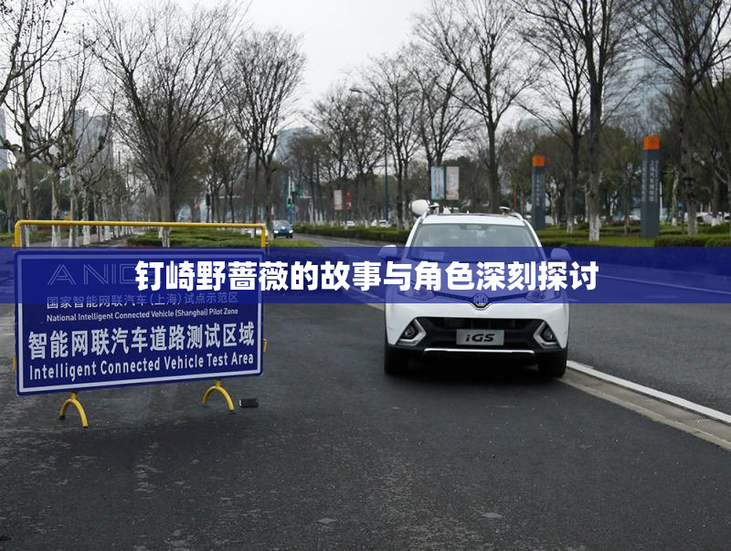 钉崎野蔷薇的故事与角色深刻探讨