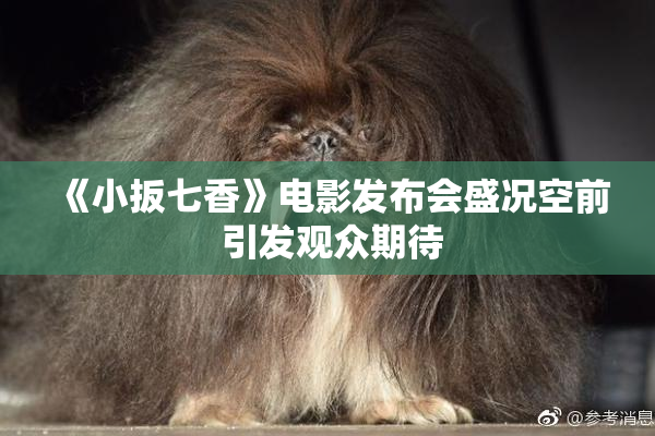 《小扳七香》电影发布会盛况空前 引发观众期待