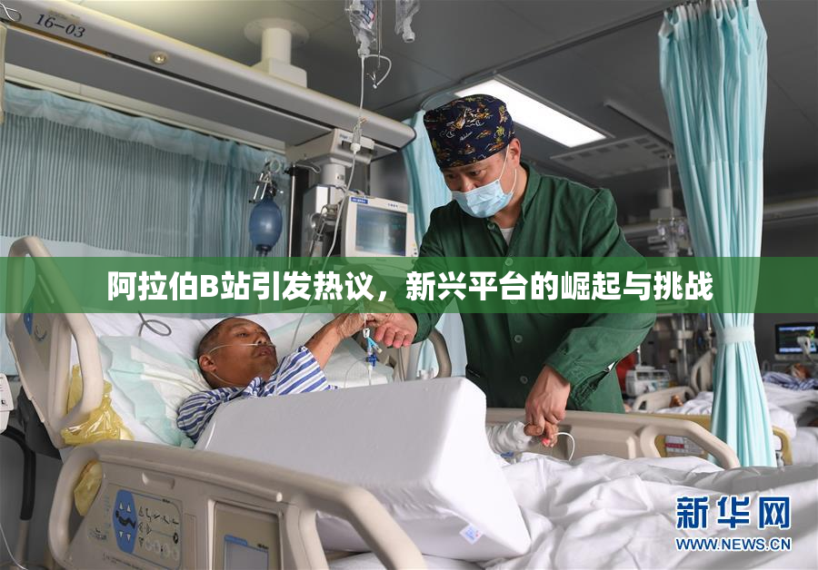 阿拉伯B站引发热议，新兴平台的崛起与挑战