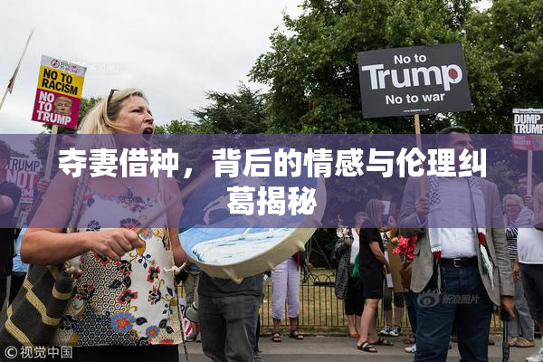 夺妻借种，背后的情感与伦理纠葛揭秘
