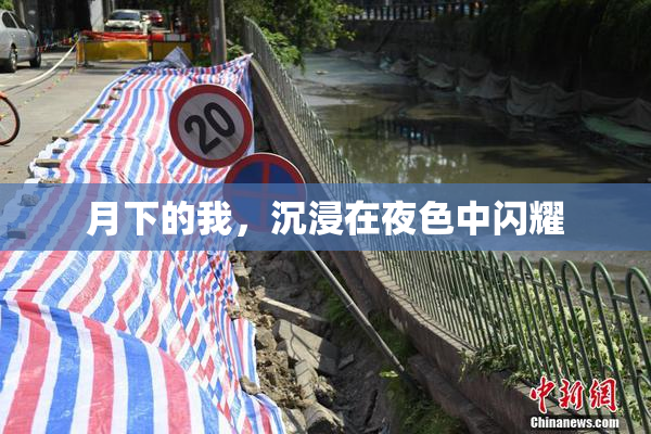 月下的我，沉浸在夜色中闪耀