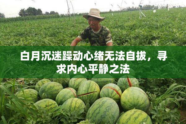 白月沉迷躁动心绪无法自拔，寻求内心平静之法