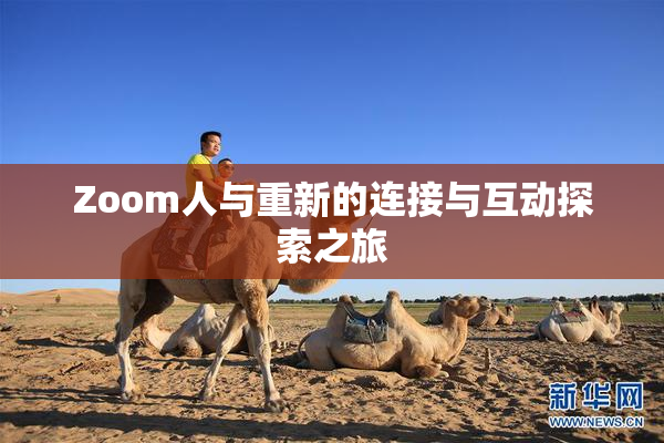 Zoom人与重新的连接与互动探索之旅