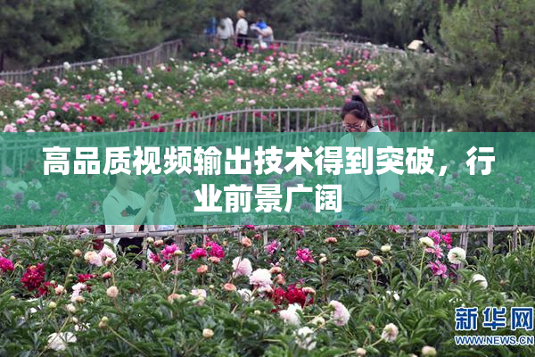 高品质视频输出技术得到突破，行业前景广阔