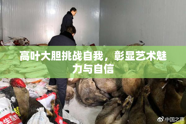 高叶大胆挑战自我，彰显艺术魅力与自信